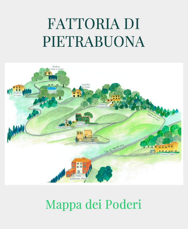 La mappa dei Poderi di Fattoria di Pietrabuona